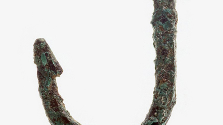Bronasttrnek